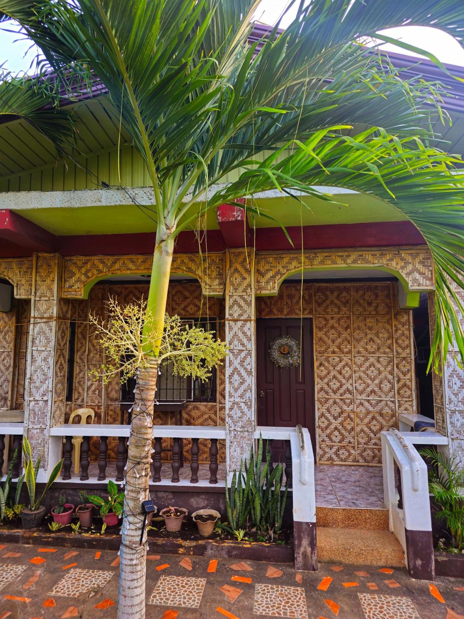 โบโฮล ซี บรีซ คอตเทจ แอนด์ รีสอร์ต Hotel Tawala  ภายนอก รูปภาพ